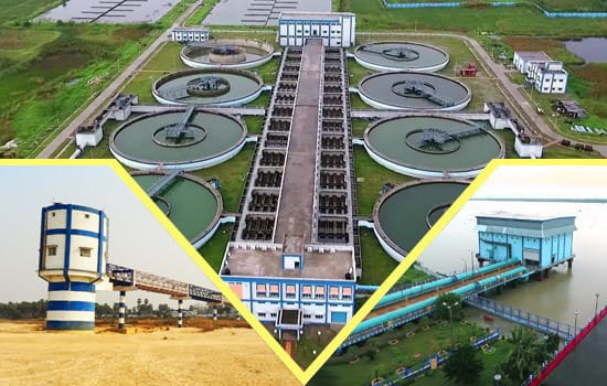 Placeholder: Tiwari Traders processing yard