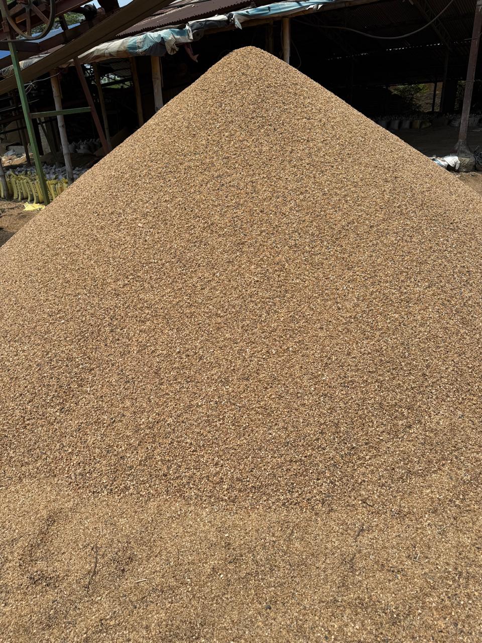 Placeholder: Filtering Gravel